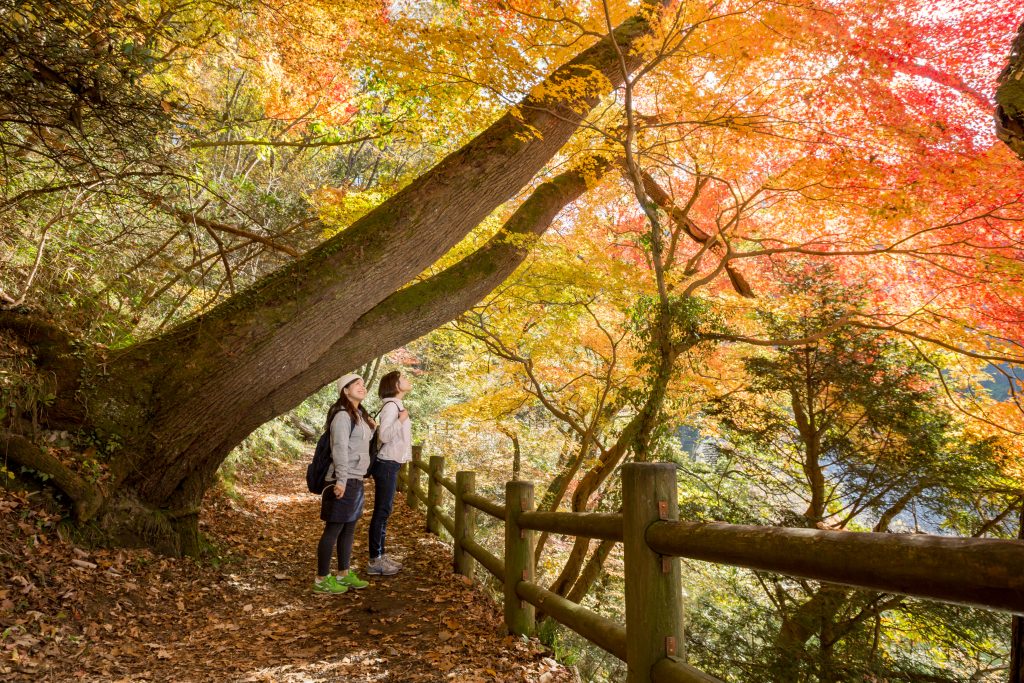 帝釈峡　岡﨑_克治_下帝釈②